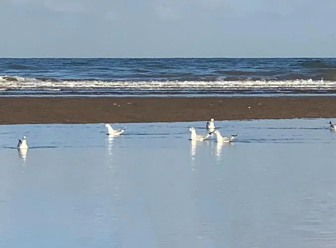 Апартаменты Grand Pour 4 Face A La