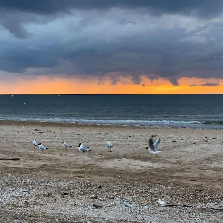 Apartment Grand Pour 4 Face A La *