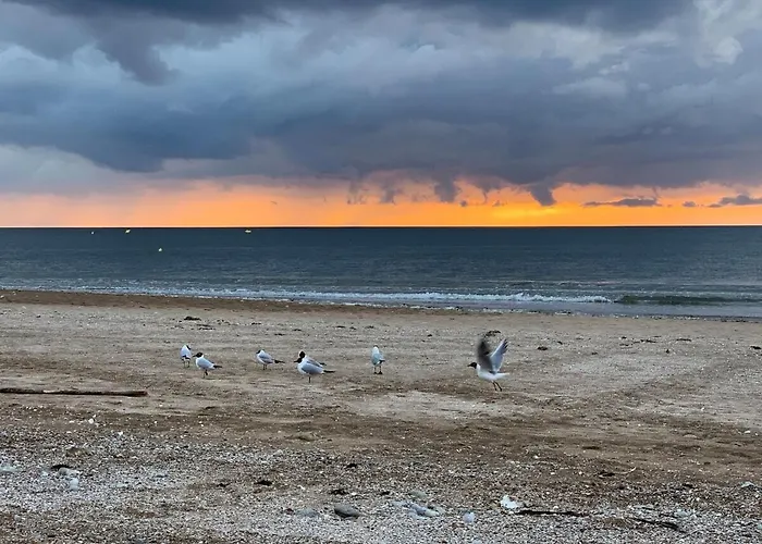 Apartment Grand Pour 4 Face A La *